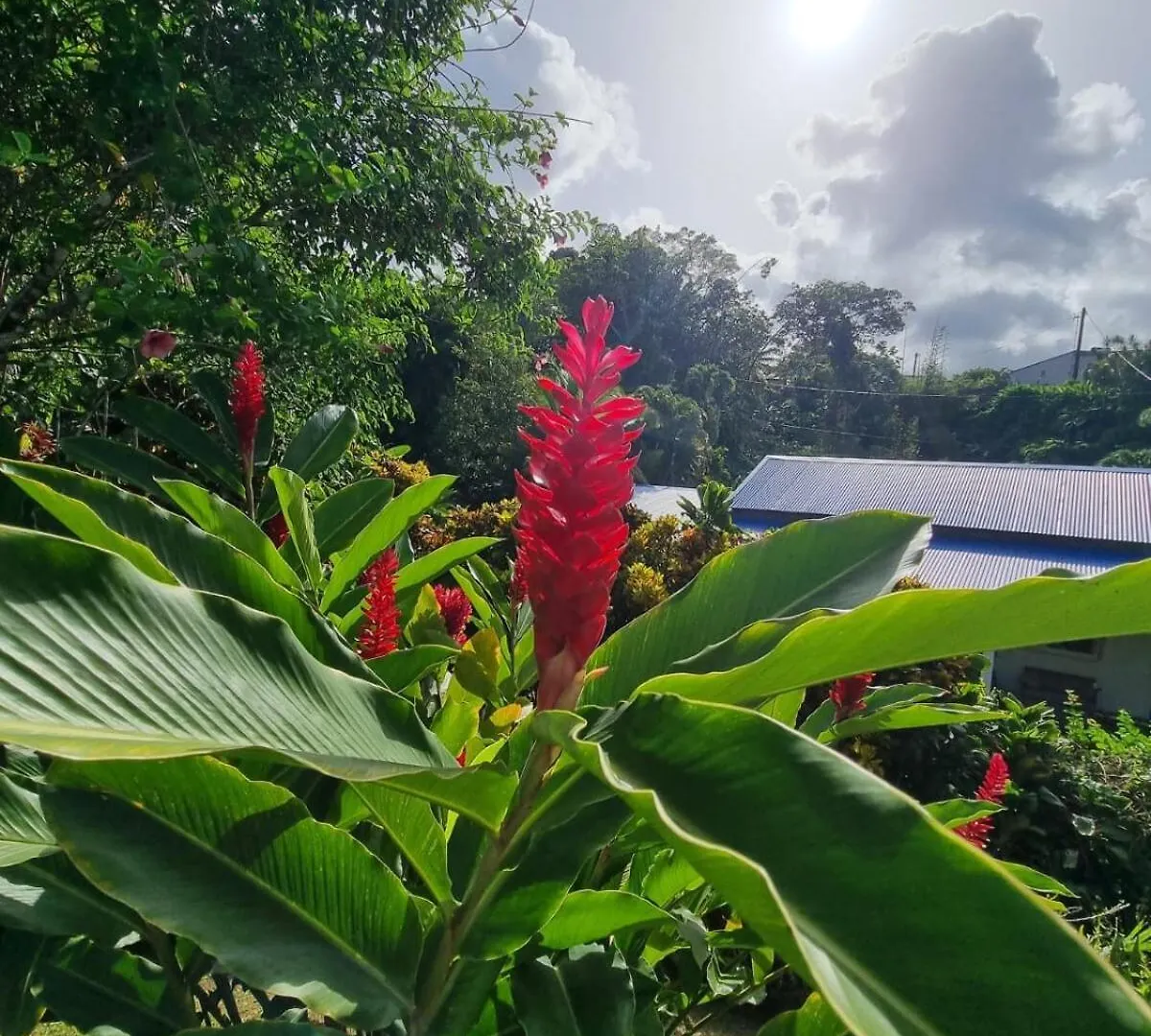 Wonderland Villa Petit-Bourg 0*,  Guadeloupe