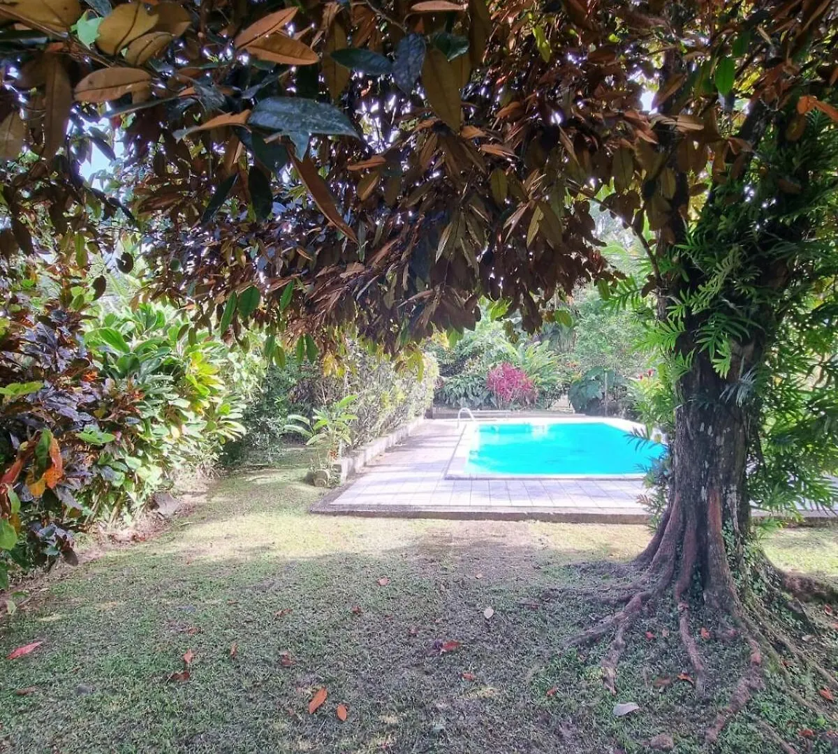 Wonderland Villa Petit-Bourg Guadeloupe