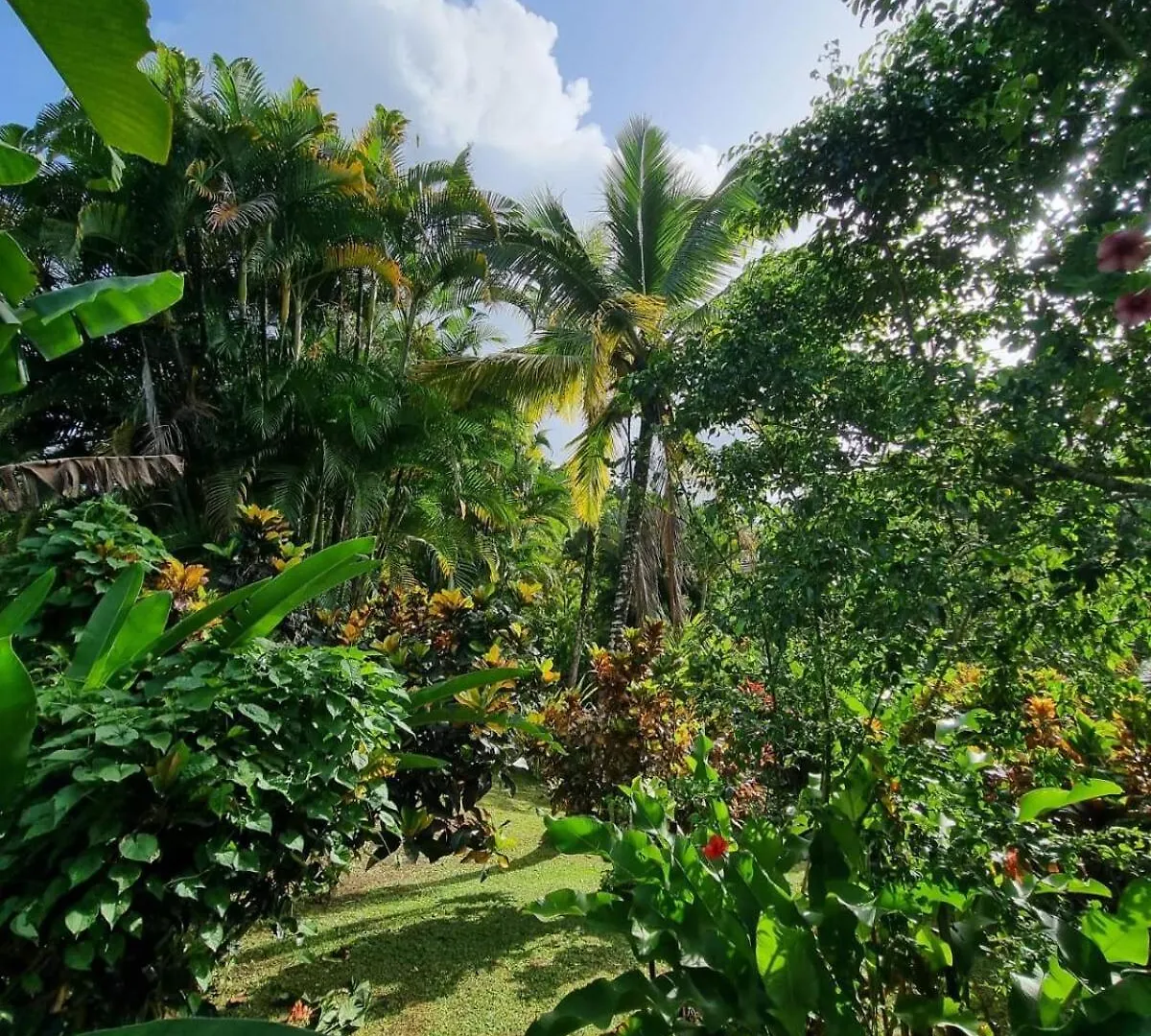 Wonderland Villa Petit-Bourg